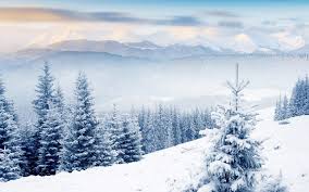 We did not find results for: Cool Winter Wallpapers Top Free Cool Winter Backgrounds Wallpaperaccess