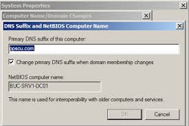 How To Configure Dns Client Settings Network Wrangler Tech Blog