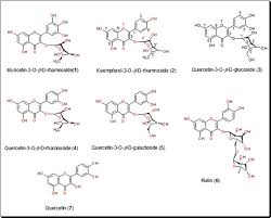 Image result for Manniophyton