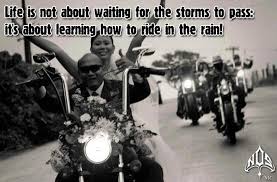 If you want to be happy for a year, marry. Motorcycle Quotes And Sayings Quotesgram