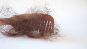 Compulsion to pull out one's hair if you have hair loss, your hair will not grow until the cause stops. Bunch Of Hair On The Stock Footage Video 100 Royalty Free 13229264 Shutterstock