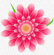 Maybe you would like to learn more about one of these? Download Transparent Pink Flower Png Images Background Toppng