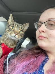 Oh, the hard life Mickey leads 😸