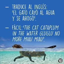 19 Chistes Malos Sobre El Uso De Ingles Chistes Malos Chistes Chistes Y Adivinanzas
