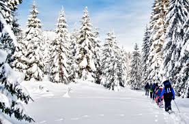 Check spelling or type a new query. Where To Go Snowshoeing In New Hampshire New Hampshire Magazine