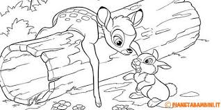 Pin Su Disegni