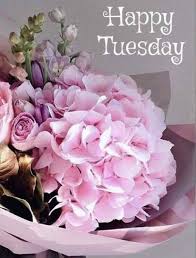 Happy Tuesday Quotes with Pink Flower ...