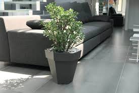We did not find results for: Arroser Ses Plantes Pendant Les Vacances Nos Trucs Et Astuces