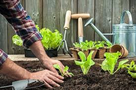Alles ist saftig grün und blüht. Gartenarbeit Im Fruhling 6 Tipps Um Ihn Wachzukussen Bluhendes Osterreich