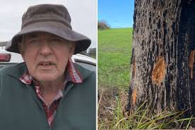 Secret inquiries into secret crimes