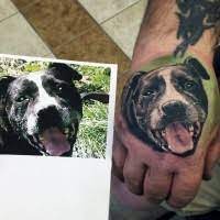 Keep it close to the chest. Schon Bemaltes Und Gefarbtes Nettes Portrat Des Hundes Tattoo An Der Hand Tattooimages Biz