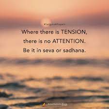 Pin On Daily Motivation Quotes