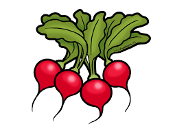 4,512 likes · 77 talking about this. Radish Illustration Foodhero Bullentinboards Artwork Vegetable Cartoon Cartoon Butterfly Food Art