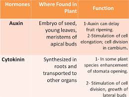 We did not find results for: Plant Hormones Controls Of Growth Development And Movement Ppt Download