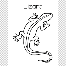 Shapes to use to draw a cartoon lizard and adding realistic detail to your cartoon drawing; Reptile Coloring Book Chameleons Child Drawing Cartoon Lizard S White Mammal Child Png Klipartz
