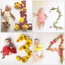 Get inspired with our handpicked collection of flower pictures hd to 4k quality available for commercial use download now for free! Creative Monthly Baby Photos Baby Milestones Pictures Monthly Baby Photos Baby Month By Month