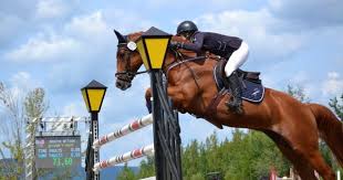 Pin On Horses