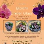 Bloom Under Glass Terrarium Experience