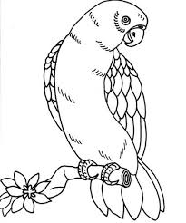 Parrot Outline Coloring Pages Beautiful 78 For Print With Bold Design Ideas 5 On Bird Coloring Pages Owl Coloring Pages Butterfly Coloring Page