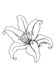 Hawaiian flowers coloring pages are a fun way for kids of all ages to develop creativity, focus, motor skills and color recognition. Top 35 Spring Coloring Pages Your Toddler Will Love To Color Flower Drawing Flower Coloring Pages Lilies Drawing