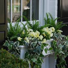We did not find results for: Dress Up The Porch With Ferns