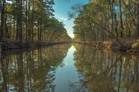 The Pearl Rush of Caddo Lake
