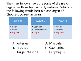 human body systems and disease ppt download