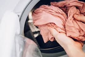 Lily pollen can stain everything from clothing and carpets to household surfaces, leaving yellow or brown marks that often resist traditional methods of cleaning. Remove Yellow Pollen Stains From Clothes And Carpet