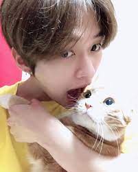 He has been married to tara since 2005. Lee Know Eating His Cat Stray Kids Lee Know Stray Kids Felix Stray Kids