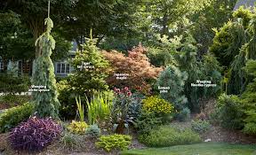 In spring, the colors of their new growth seem extra rich because there are few flowers to compete. 7 Ways To Use Conifers In The Garden Garden Gate