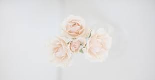 What flower lasts the longest when cut? Complete Guide To Flowers And Foliage That Last Without Water