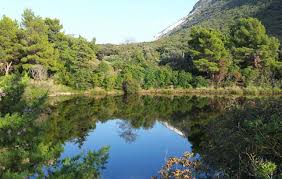 About 10 minutes from the bed and breakfast star of the conero regional park of the conero, a natural protected area of the marches established in 1987 and located on the. Der Naturpark Vom Conero Riviera Del Conero