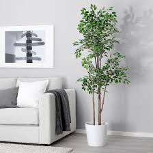 Fejka Artificial Potted Plant Weeping Fig Ikea Artificial Potted Plants Modern Potted Plants Weeping Fig