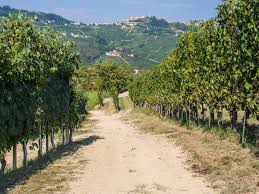 Experience piedmont your way − roam across peaks, plains, hills and lakes in the 96 protected natural areas and 5 unesco world heritage sites.enjoy a gentler pace on the pilgrim trails or recharge your batteries along 20,000 kilometres of walking. 10 Reasons To Visit The Langhe Wine Region In Piemonte Italy