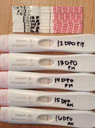 If you don't know when you ovulated, wait until the day your period is due. Can I Take A Pregnancy Test 10 Days After Ovulation Pregnancywalls