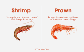 Differentiate Between Shrimp Prawn Interesting English Words Learn English Vocabulary English Language Learning