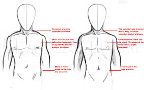 How to draw anime guys with muscles. How To Draw Anime Boys Step By Step Drawing Guide By Dawn Dragoart Com