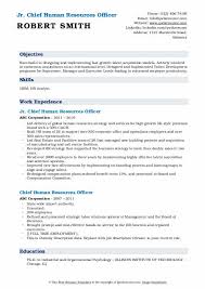 chief human resources officer resume
