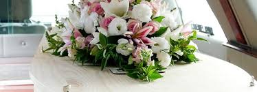 Trovare il fiore più adatto a seconda del destinatario è una specie di arte che come il ciclamino, un fiore perfetto per il compleanno di un amico sincero. Il Galateo Dei Fiori Per Un Funerale