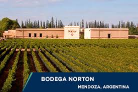 Resultado de imagen para BODEGAS  ARGENTINA NORTON