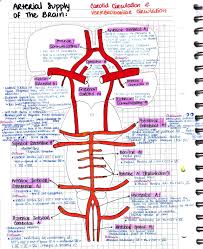 Pin On Blood Pressure Chart