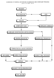 eeoc process chart related keywords suggestions eeoc