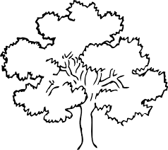 Style Guide Clker Tree Coloring Page Tree Outline Free Clip Art