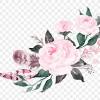 Top free images & vectors for blush pink flowers png in png, vector, file, black and white, logo, clipart, cartoon and transparent. 1