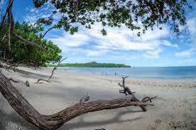 When it comes to choosing a place to live, costa rica has a lot of choices. How To Retire In Costa Rica A Guide To Living Well