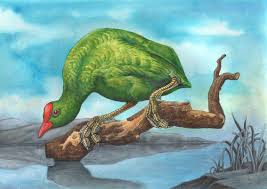 Adam Latham Art Artist Illustration Illustrator Art Illustration Bird Drawings