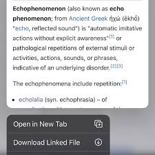 Image result for Echophenomena