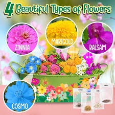 Maybe you would like to learn more about one of these? Buy Innorock Kids Flower Planting Growing Kit Kids Gardening Plant And Paint Arts Crafts Set For Girls Boys Age 5 6 7 8 9 10 12 Year Old Plant Garden Set Make