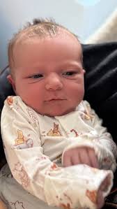 Brussels Sprouts: A Roundup of Healthy Recipes