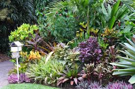 Front Garden Tropical Landscaping Small Tropical Gardens Tropical Garden